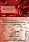 e-pm Mailingaktion - Artikel-Nr. 301196 Weihnachtsgrüsse - Mailing Brief Weihnachten