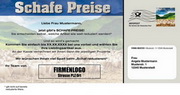 e-pm Mailingaktion - Artikel-Nr. 617264 Schafe Preise - Mailing individuelle 

Maxikarte Ostern