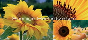 e-pm Mailingaktion - Artikel-Nr. 419516 Herbstzeiten - Mailing Karte Herbst