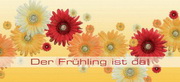 e-pm Mailingaktion - Artikel-Nr. 516169 fürhling fhlen - Mailing 

Karte frühjahr