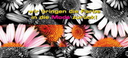 e-pm Mailingaktion - Artikel-Nr. 516177 Farbe - Mailing Karte 

frühjahr