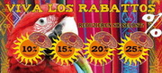 e-pm Mailingaktion - Artikel-Nr. 516223 Los Rabbatos - Mailing 

Aufkleber Sommer