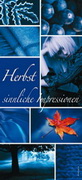 e-pm Mailingaktion - Artikel-Nr. 516319 Impressionen - Mailing Karte Herbst