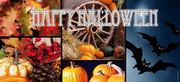 e-pm Mailingaktion - Artikel-Nr. 516459 halloween - Mailing Karte fr Dialogpost