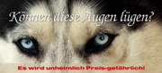 e-pm Mailingaktion - Artikel-Nr. 516709 Augen lügen - Mailing Karte Winter