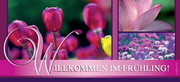 e-pm Mailingaktion - Artikel-Nr. 517036 Willkommen fürhling - 

Mailing Karte frühjahr