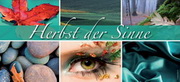 e-pm Mailingaktion - Artikel-Nr. 517105 Herbst der Sinne - Mailing Karte Herbst