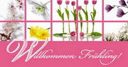 e-pm Mailingaktion - Artikel-Nr. 616635 Willkommen fürhling - 

Mailing Maxikarte frühjahr