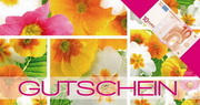 e-pm Mailingaktion - Artikel-Nr. 616638 Gutschein - Mailing 

Maxikarte frühjahr