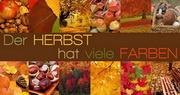 e-pm Mailingaktion - Artikel-Nr. 616816 Herbstfarben - Mailing Maxikarte Herbst
