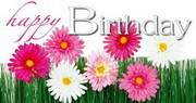 e-pm Mailingaktion - Artikel-Nr. 617003 Happy Birthday - Mailing Maxikarte Kundengeburtstag
