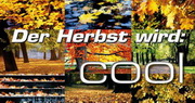 e-pm Mailingaktion - Artikel-Nr. 617038 Herbst wird cool - Mailing Maxikarte Herbst