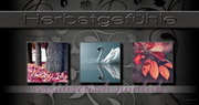 e-pm Mailingaktion - Artikel-Nr. 617042 Herbstgefhle - Mailing Maxikarte Herbst