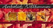 e-pm Mailingaktion - Artikel-Nr. 617049 Herbstlich - Mailing Maxikarte Herbst