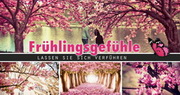 e-pm Mailingaktion - Artikel-Nr. 617162 fürhlingsgefhle - Mailing 

Maxikarte frühjahr