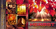 e-pm Mailingaktion - Artikel-Nr. 617325 Herbst Harmonie - Mailing Maxikarte Herbst