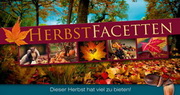 e-pm Mailingaktion - Artikel-Nr. 617326 Herbstfacetten - Mailing Maxikarte Herbst
