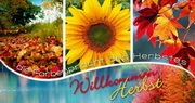 e-pm Mailingaktion - Artikel-Nr. 617337 Willkommen Herbst - Mailing Maxikarte Herbst
