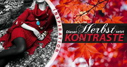 e-pm Mailingaktion - Artikel-Nr. 617340 Herbstkontraste - Mailing Maxikarte Herbst