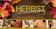e-pm Mailingaktion - Artikel-Nr. 617343 Herbststimmung - Mailing Maxikarte Herbst