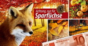 e-pm Mailingaktion - Artikel-Nr. 617360 Sparfuchs - Mailing Maxikarte Herbst