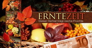 e-pm Mailingaktion - Artikel-Nr. 617361 Erntezeit - Mailing Maxikarte Herbst