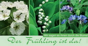 e-pm Mailingaktion - Artikel-Nr. 716608 Durch die Blume - Mailing 

Maxikarte frühjahr