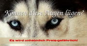 e-pm Mailingaktion - Artikel-Nr. 716709 Preis-gefährlich - Mailing Maxikarte Winter