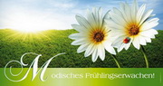 e-pm Mailingaktion - Artikel-Nr. 717034 fürhlingserwachen - Mailing 

Maxikarte frühjahr