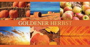 e-pm Mailingaktion - Artikel-Nr. 717108 goldener Herbst - Mailing Maxikarte Herbst