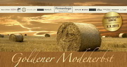 e-pm Mailingaktion - Artikel-Nr. 816027 Goldener Modeherbst - Mailing individuelle Maxikarte Herbst